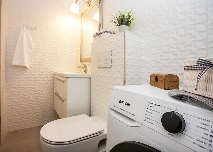 Rose For 4 On Position